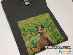 中性版美國棉TShirt